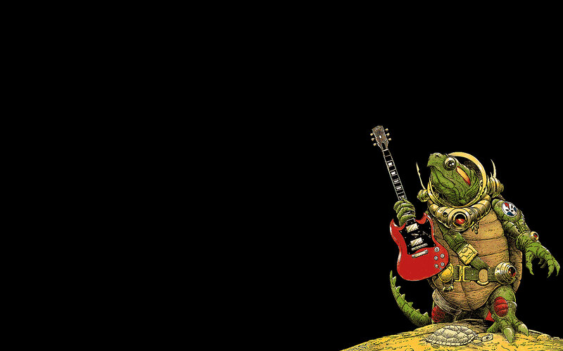tortoise rock star