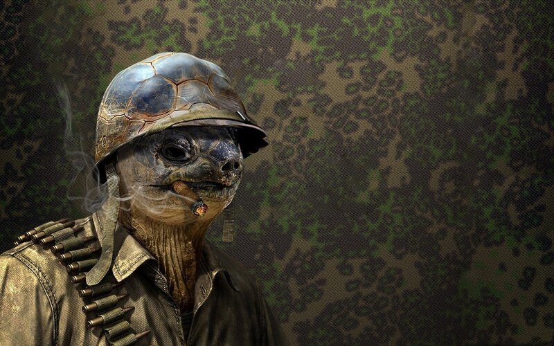 Tortoise Soldier