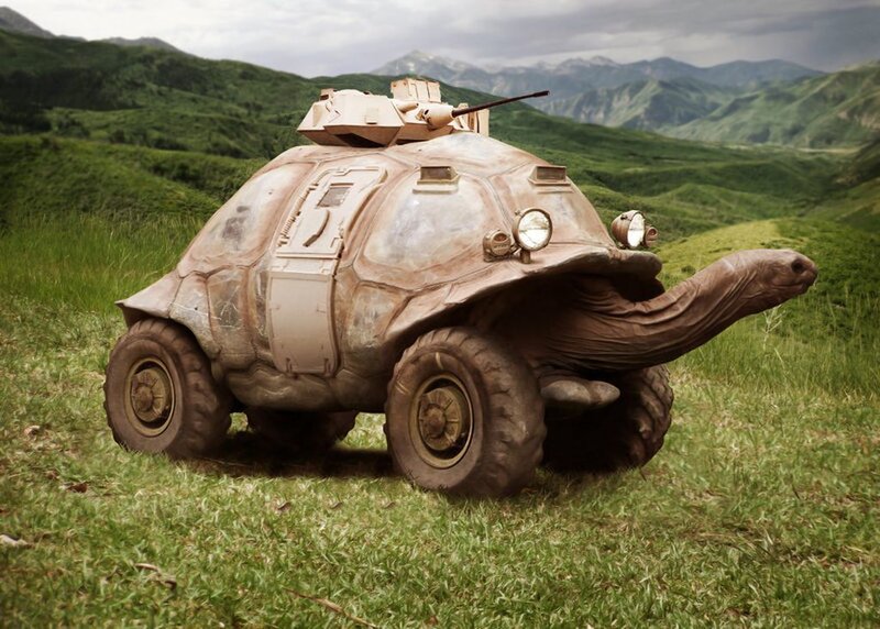Tortoise Tank