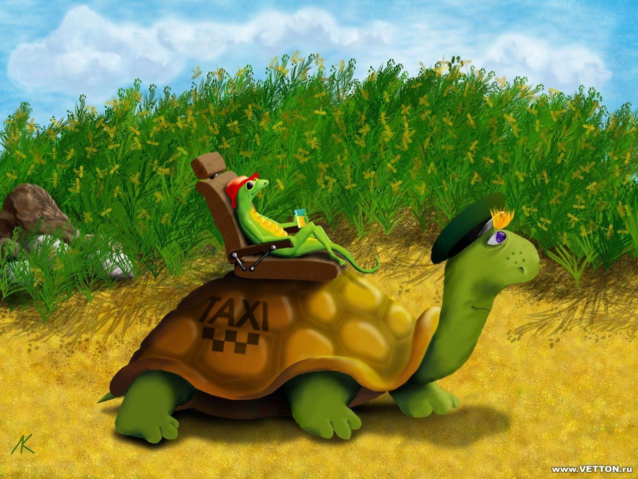 tortoise taxi with passenger