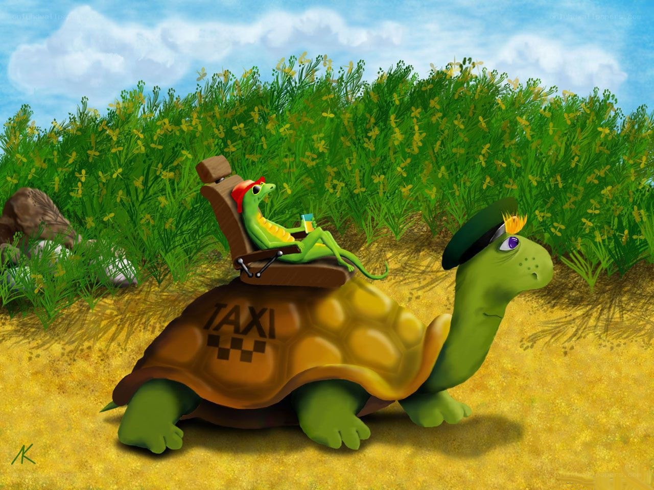 tortoise taxi with passenger