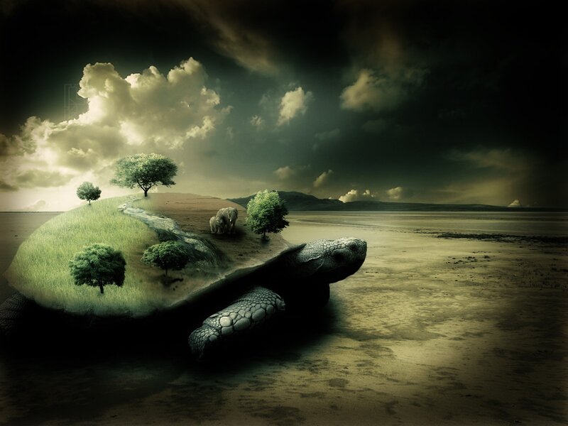 Tortoise with Island Shell