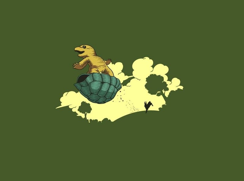 tortoise with shell