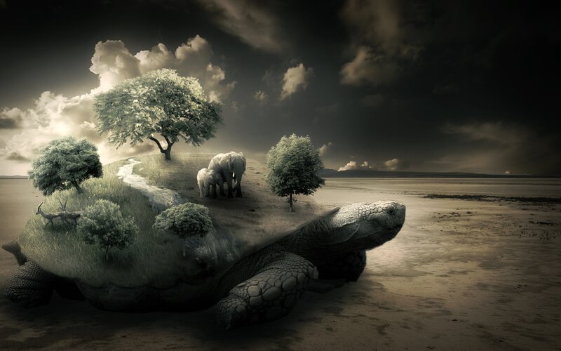 tortoise world landscape
