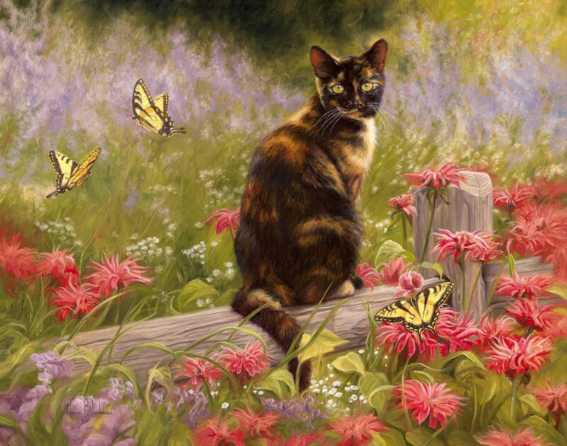 Tortoiseshell Cat in Garden — Green