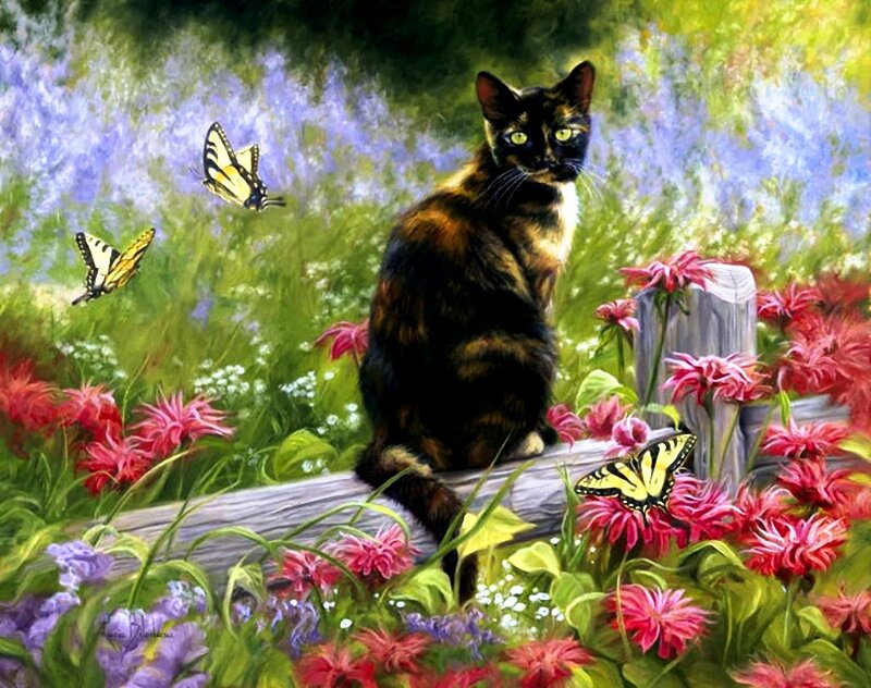 Tortoiseshell Cat in Garden