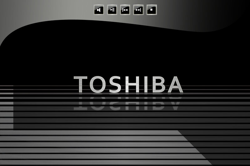 Toshiba logo on digital interface