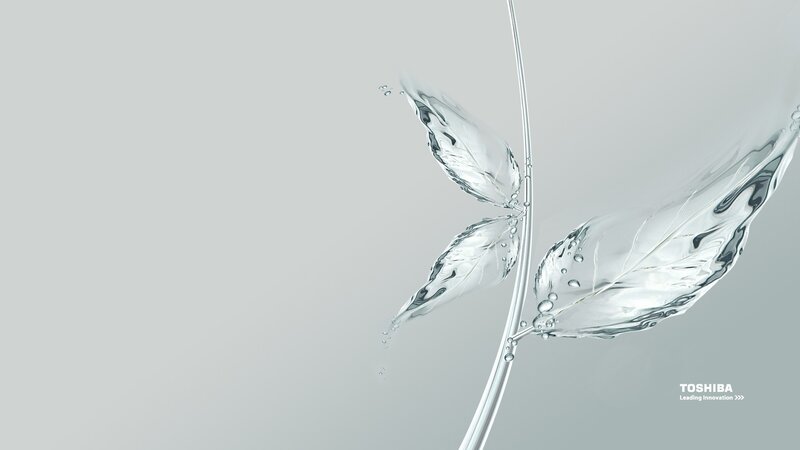 Toshiba water leaf design