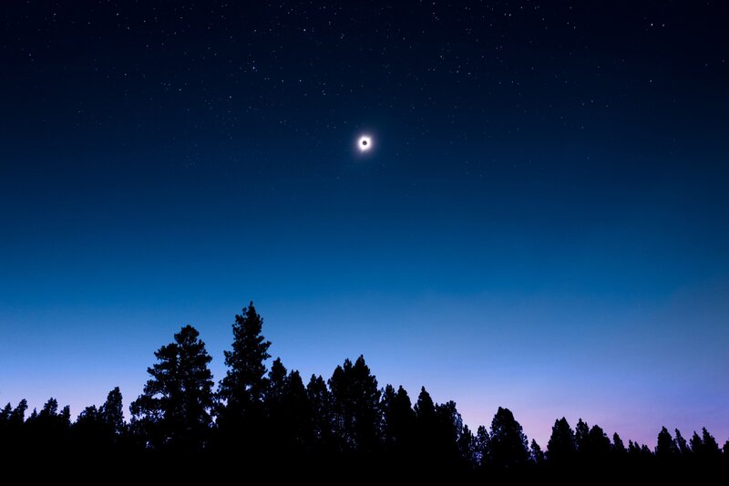 Total solar eclipse over forest