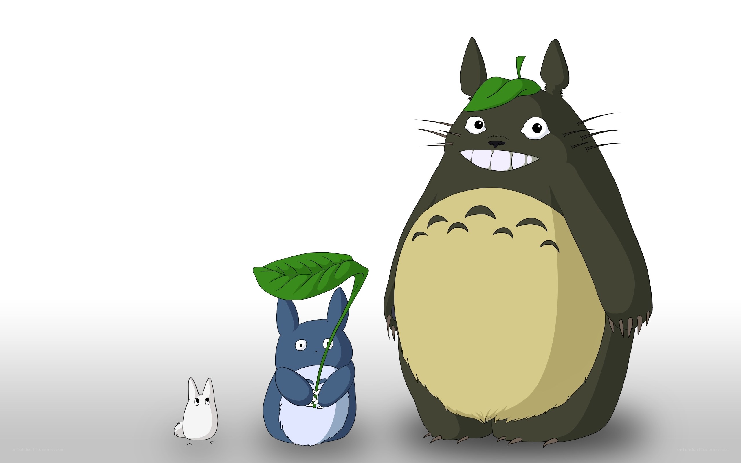 Totoro and friends
