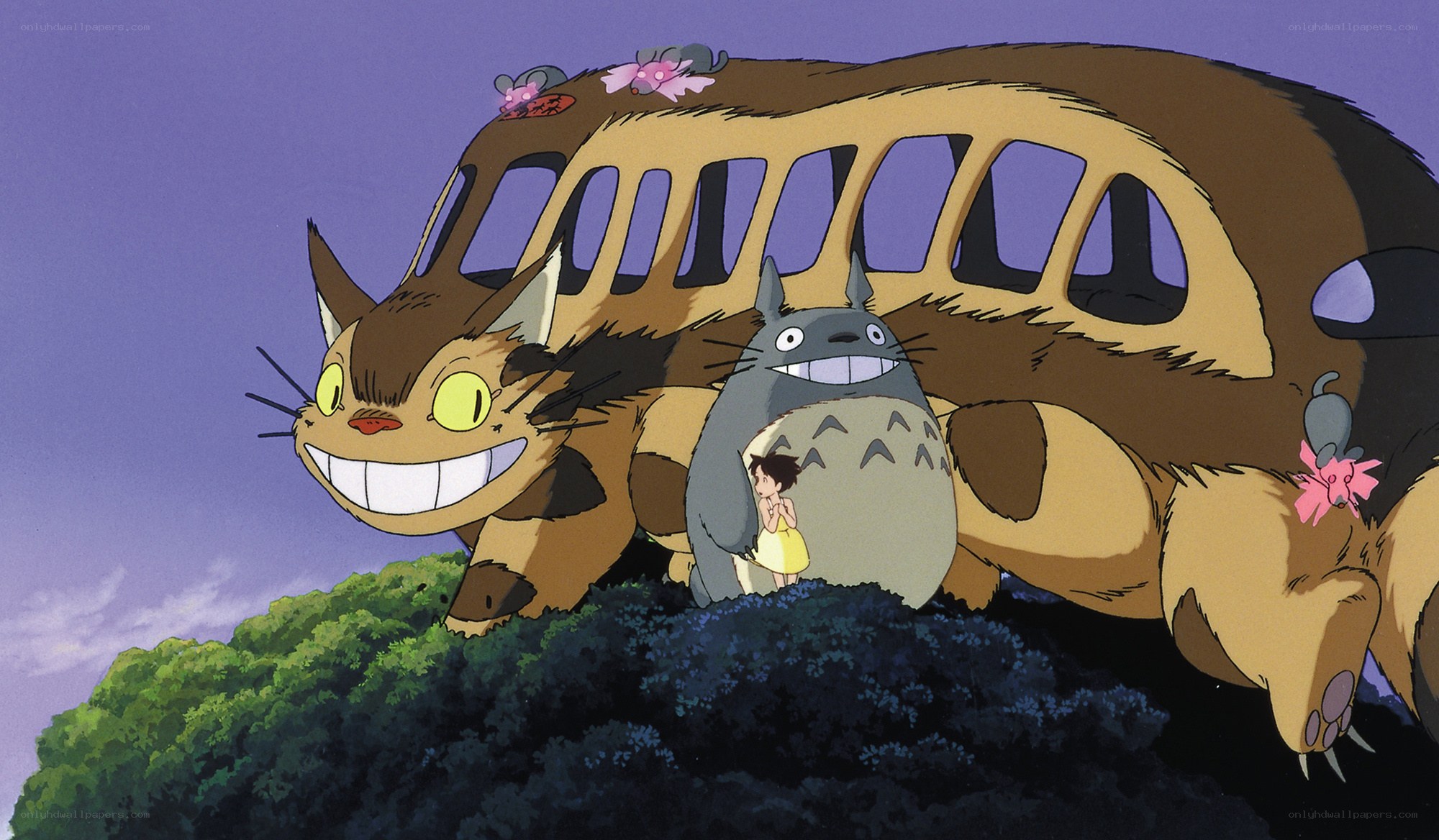 Totoro and the Catbus
