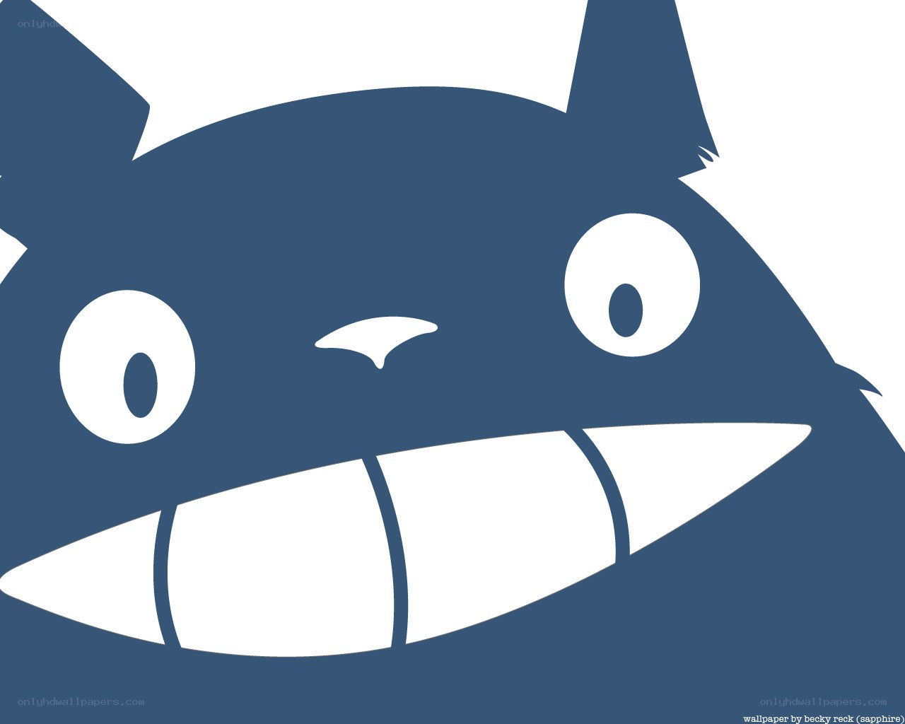 Totoro face close-up
