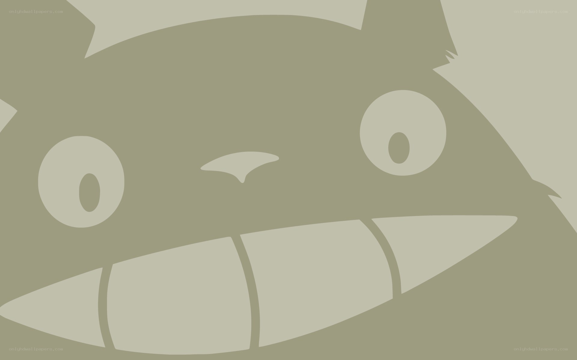 Totoro face close-up