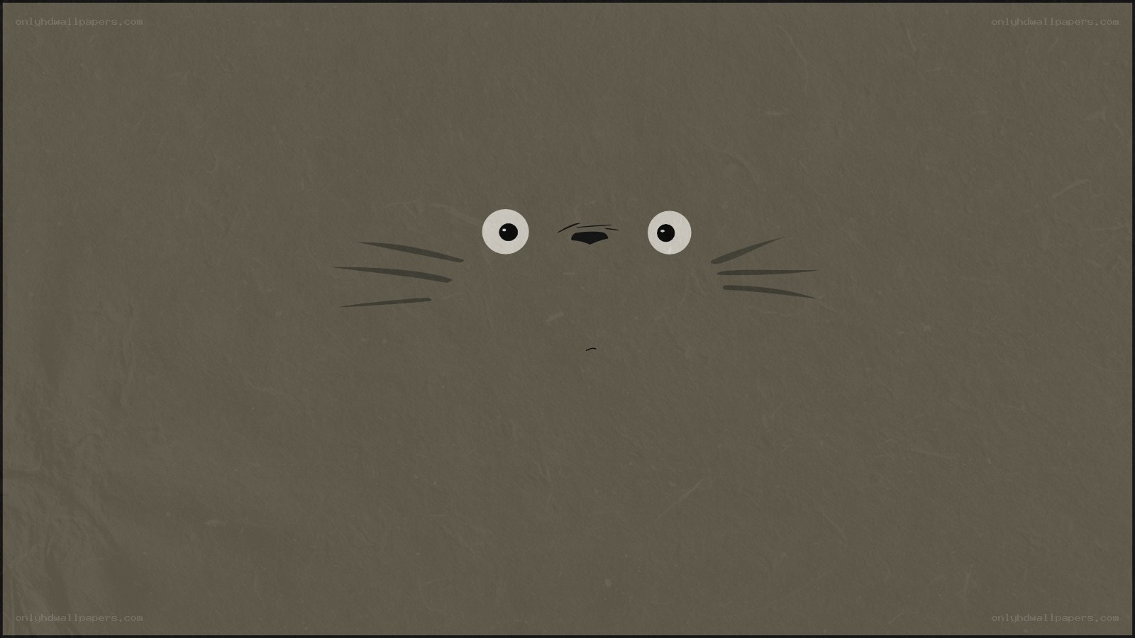 Totoro face close-up