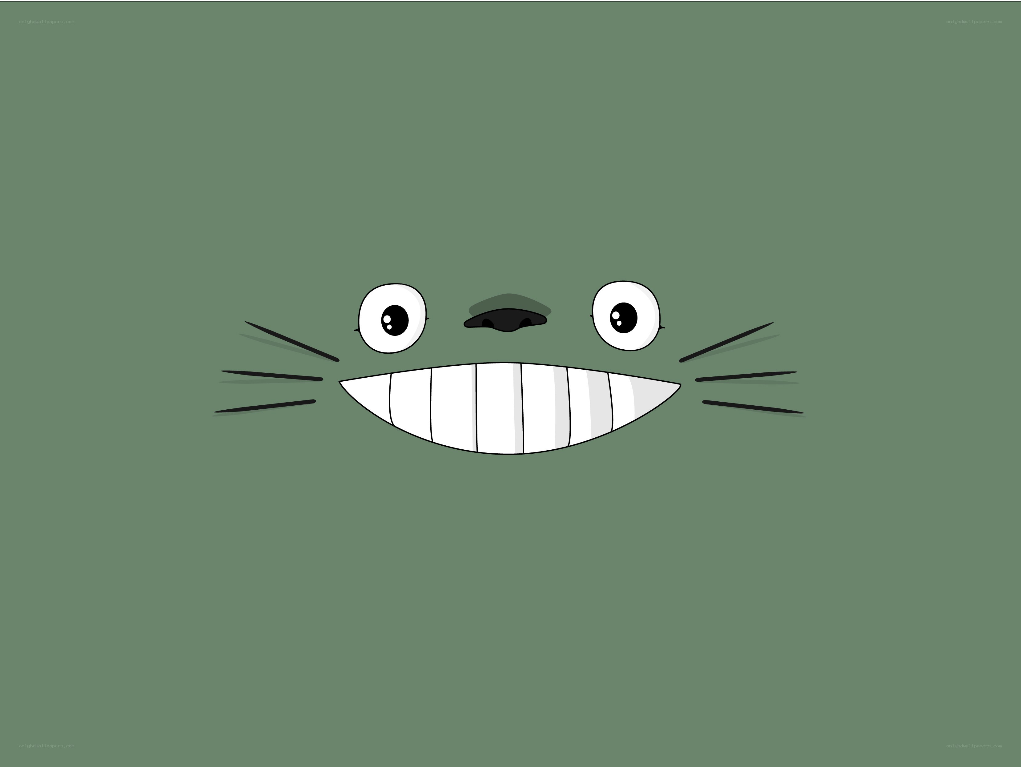 Totoro face illustration