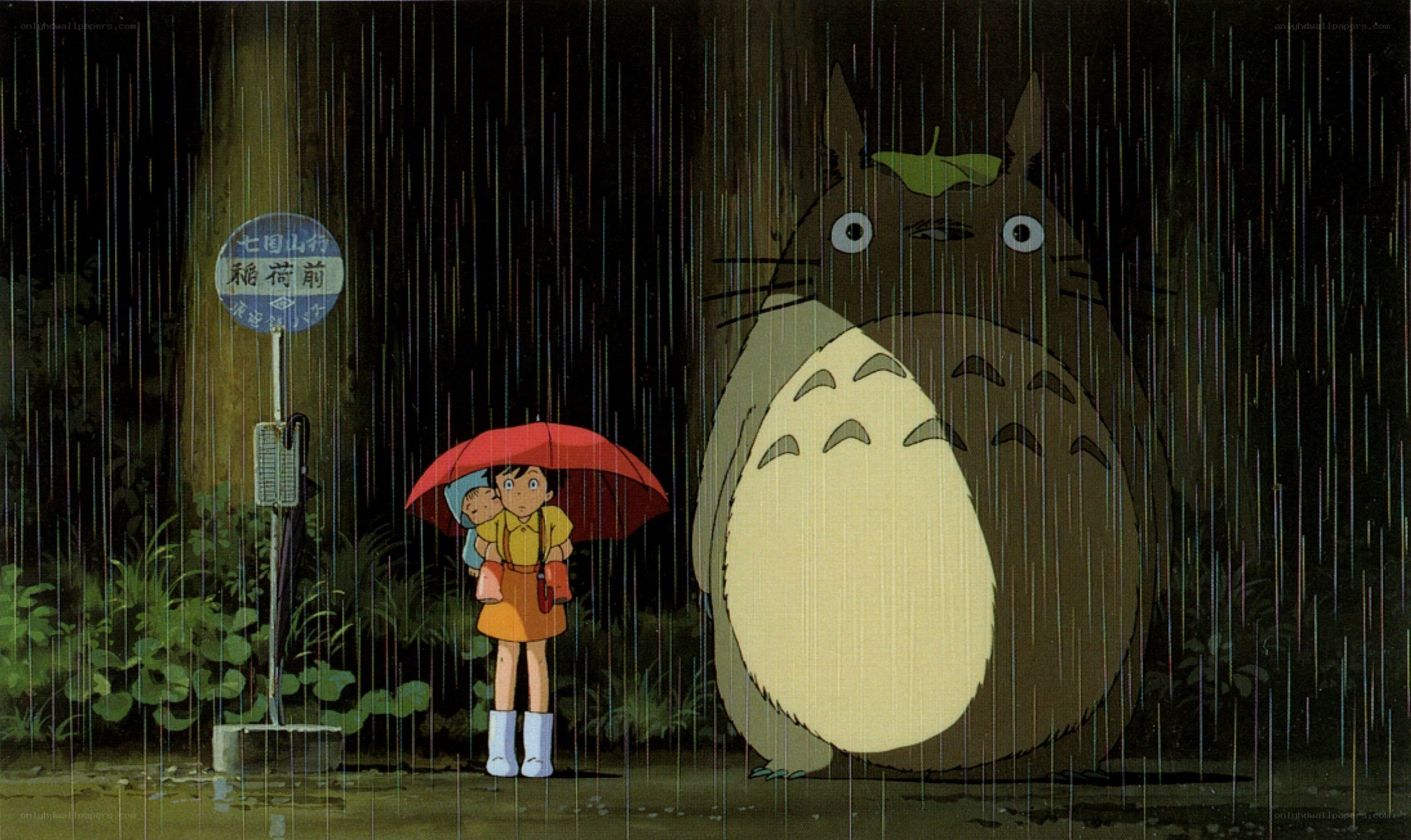 Totoro in the rain