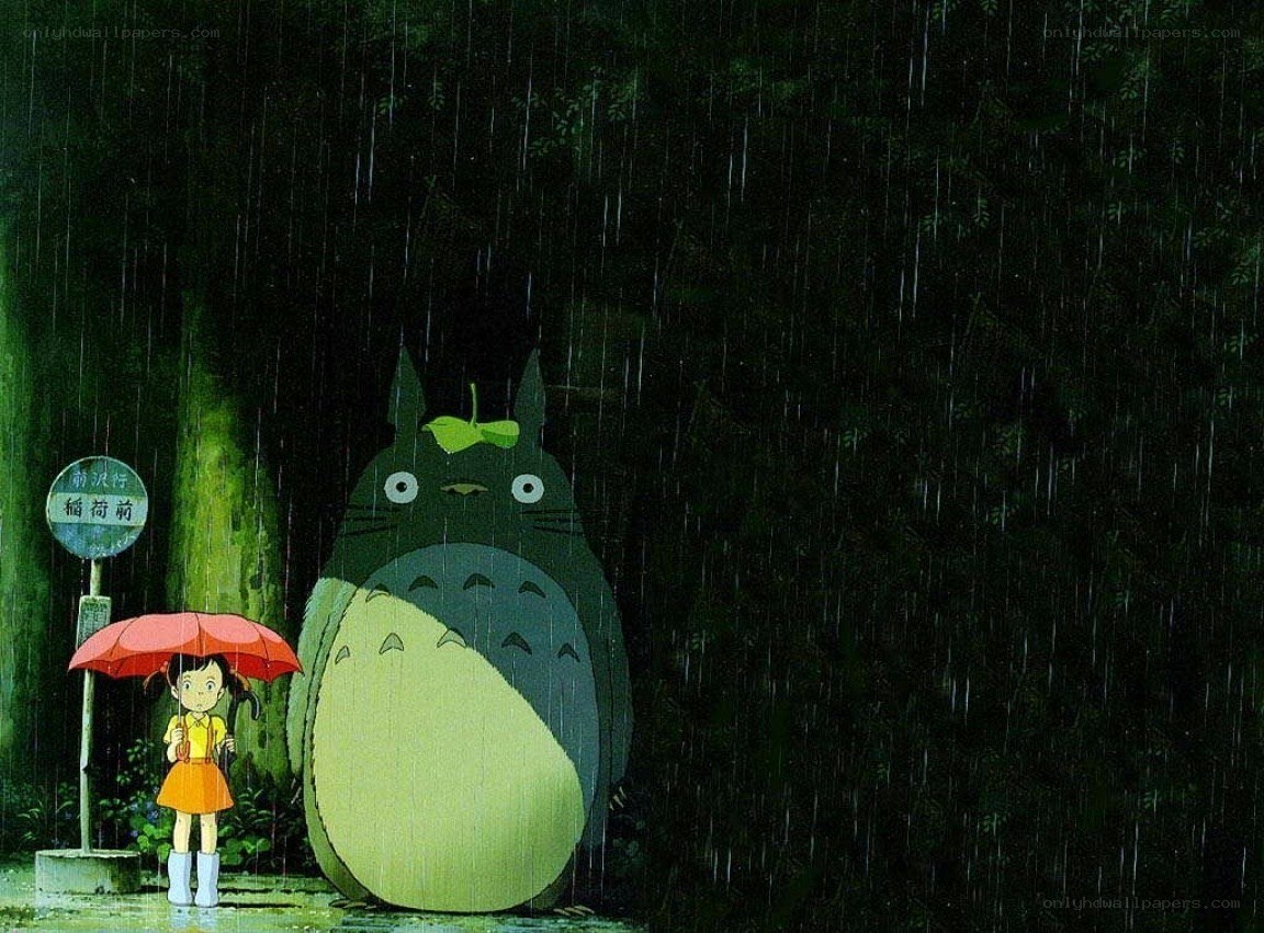 Totoro in the rain