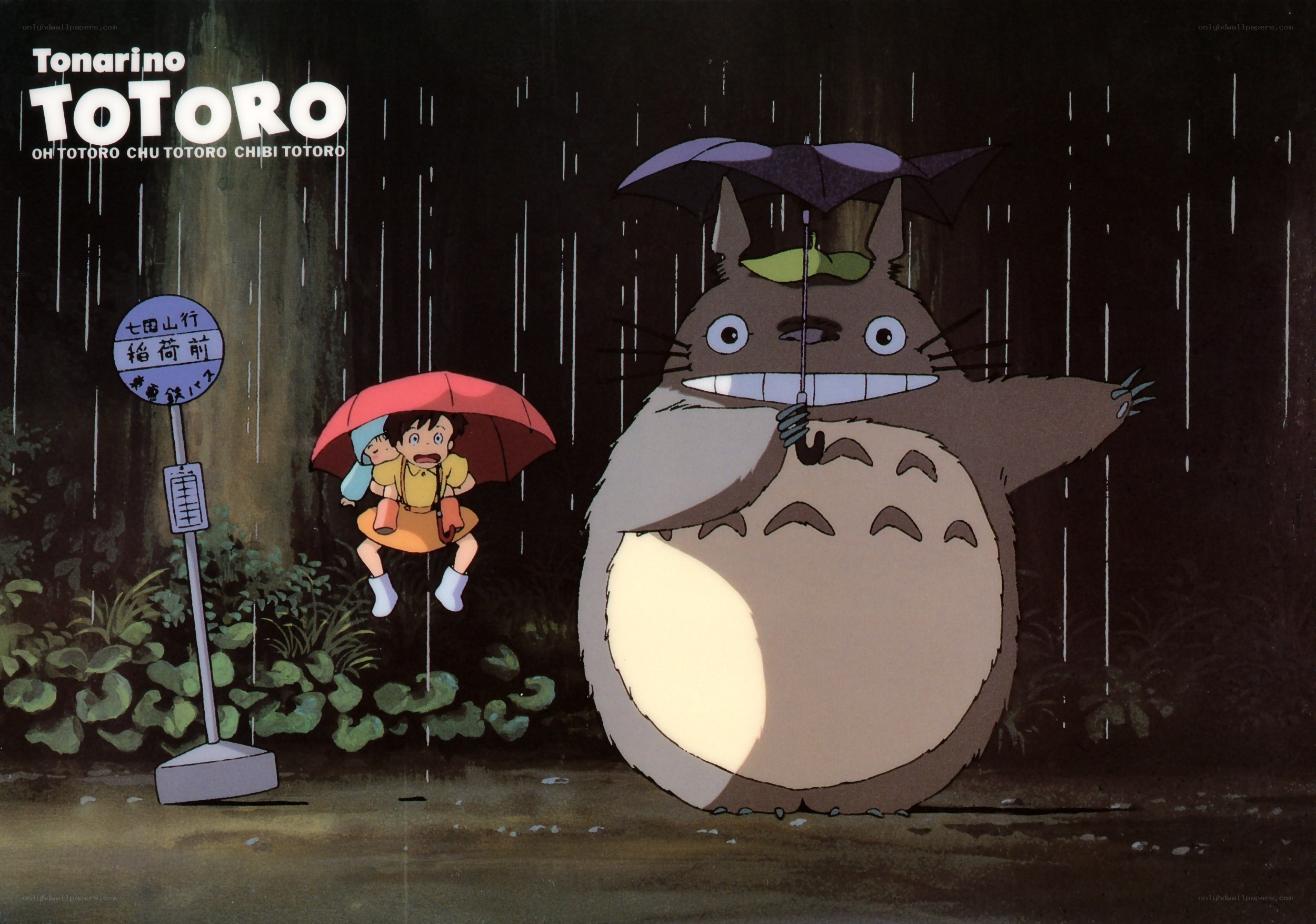 Totoro in the rain