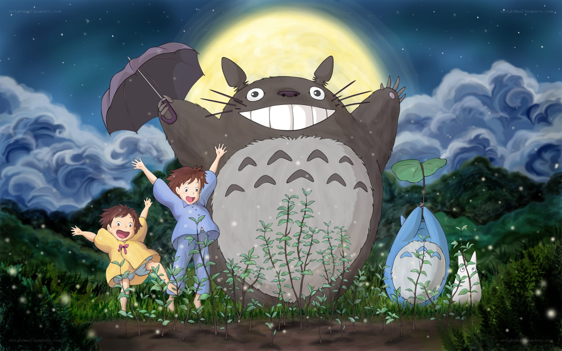 Totoro under the moonlight