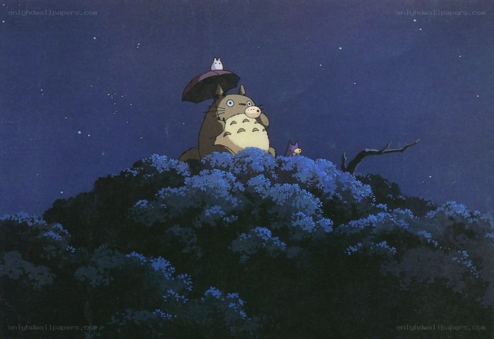 Totoro under the stars