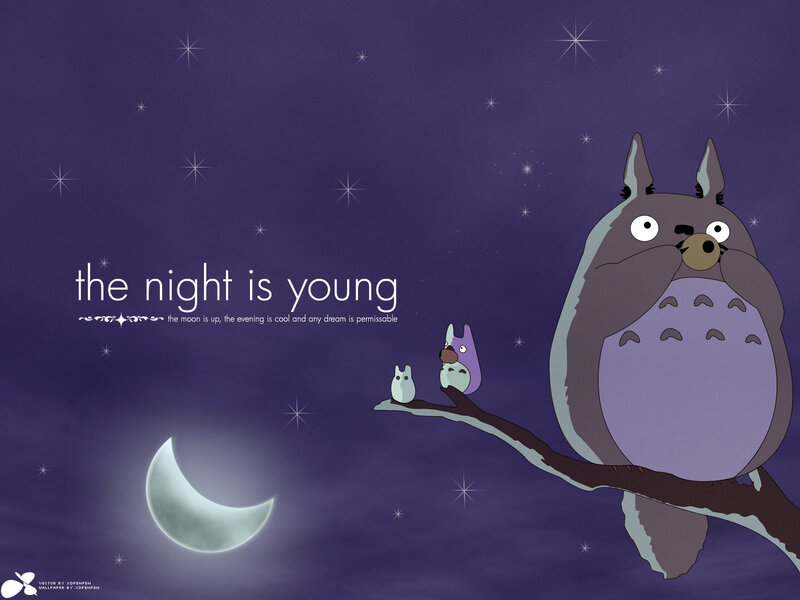 Totoro under the stars