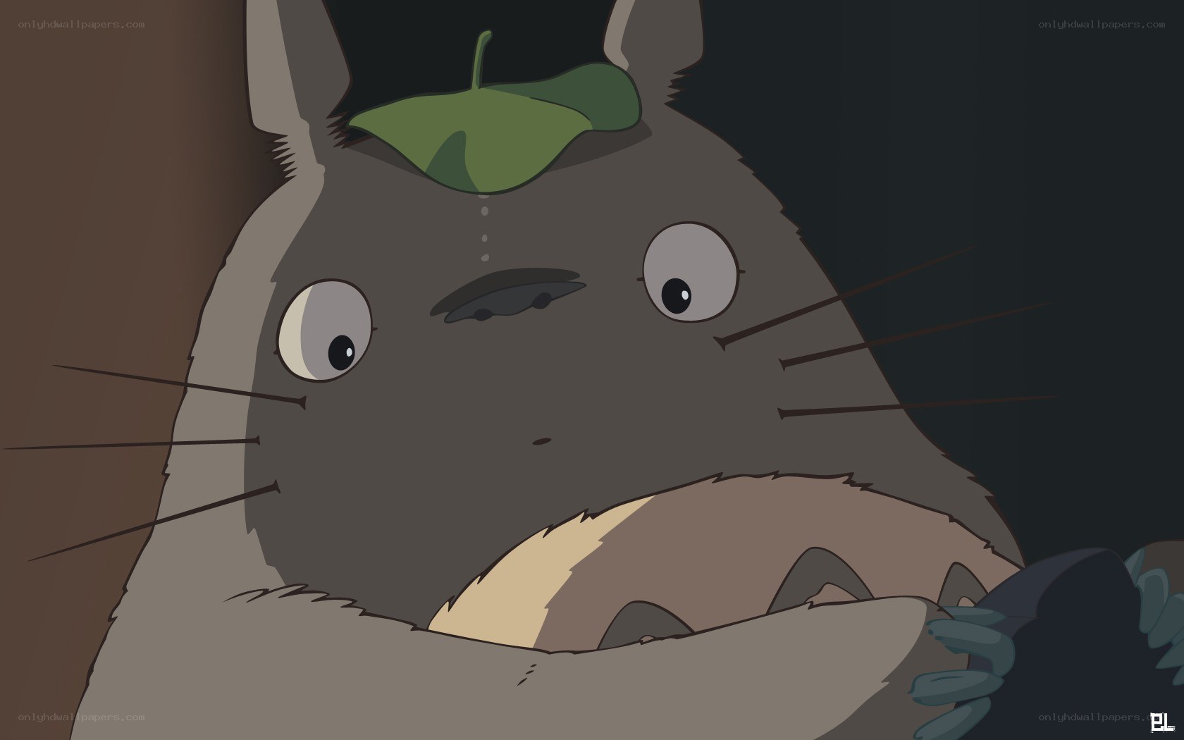 Totoro with leaf on head