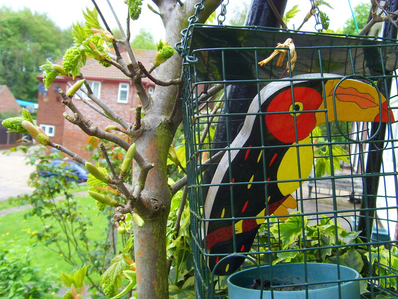 toucan bird feeder in garden