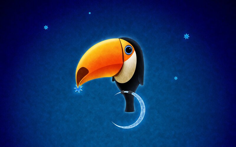 Toucan Holding Crescent Moon