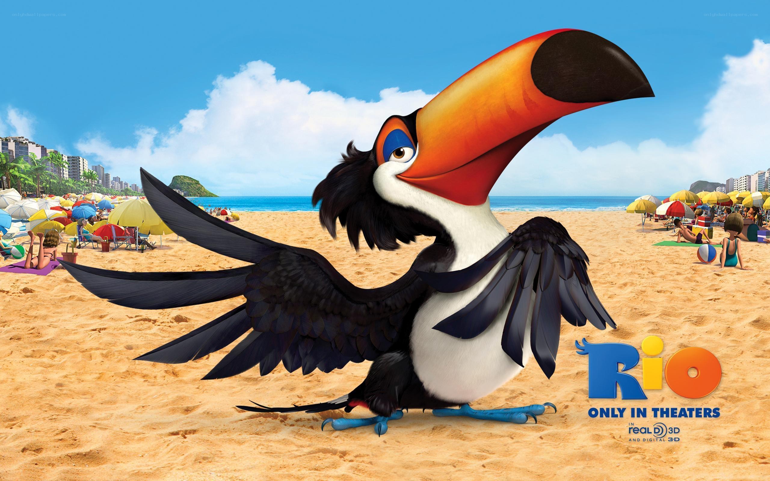 Toucan in Rio on beach