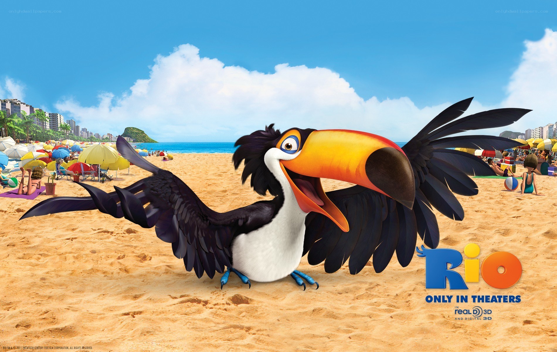 Toucan in Rio on beach