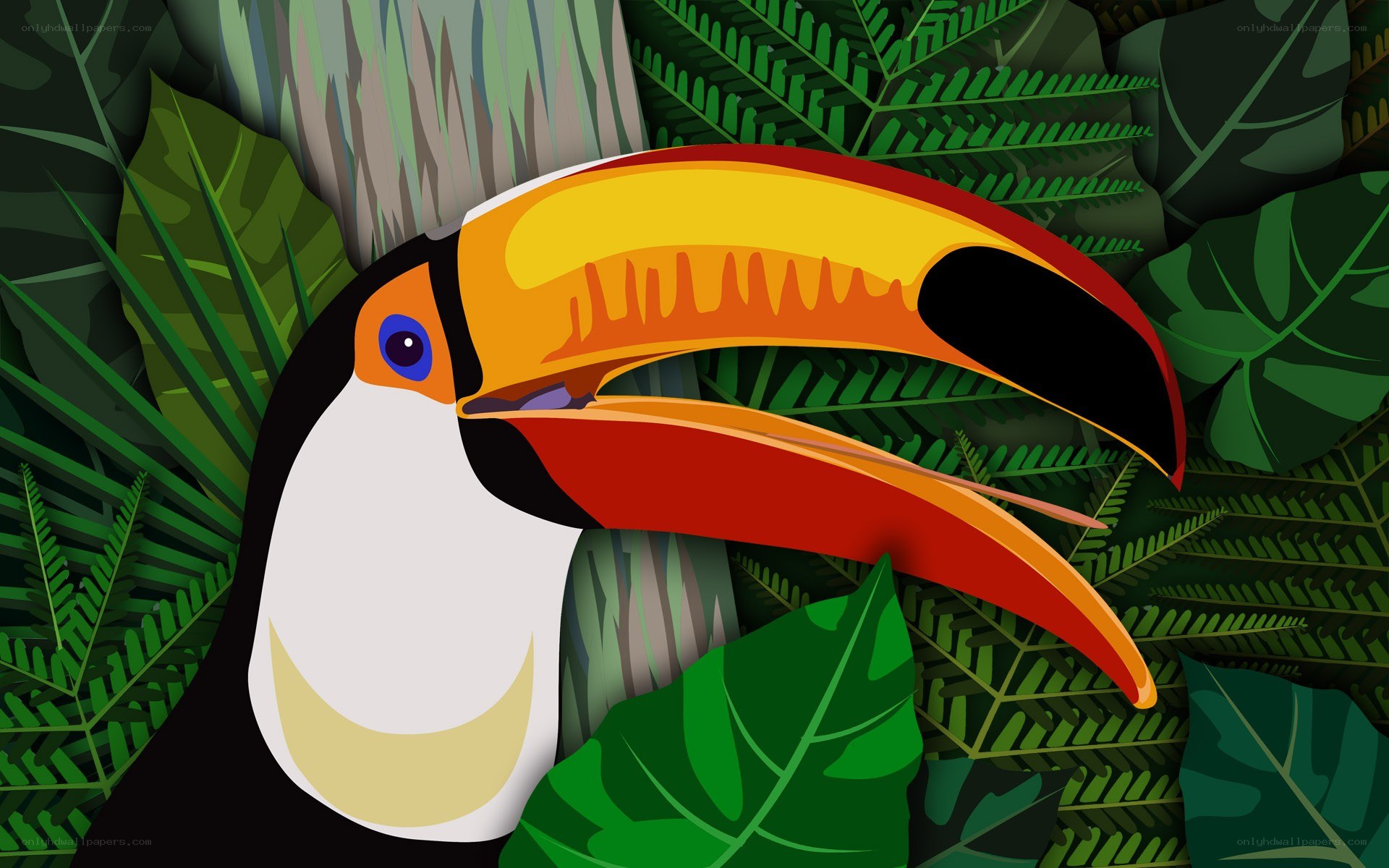 Toucan in tropical foliage