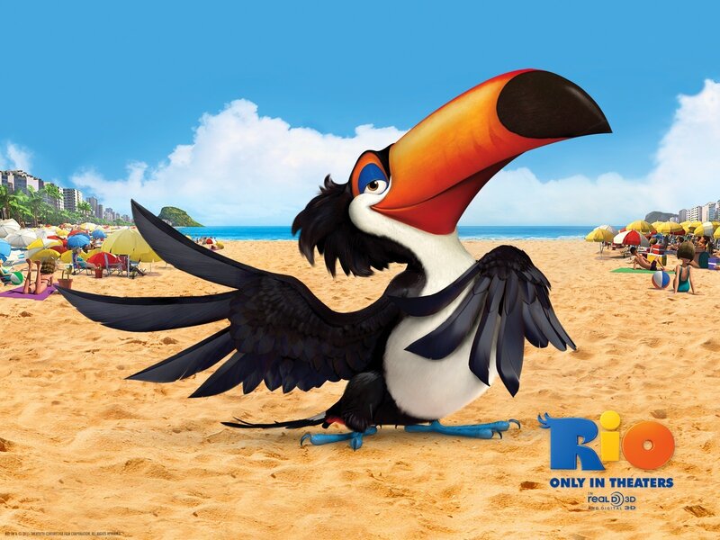 Toucan on a beach