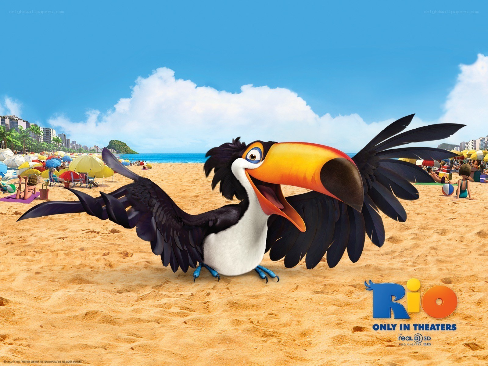 Toucan on a beach