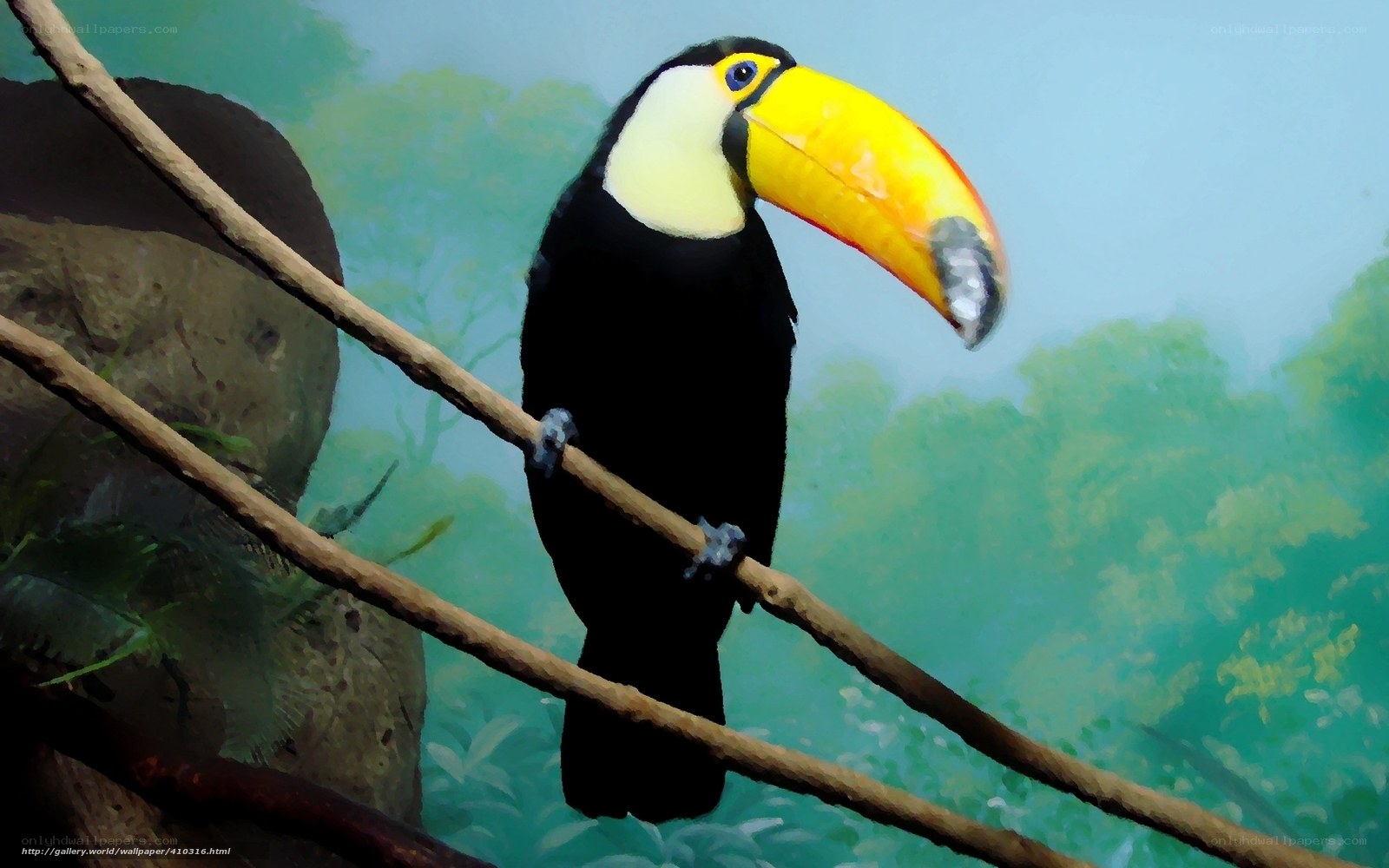 Toucan on a branch
