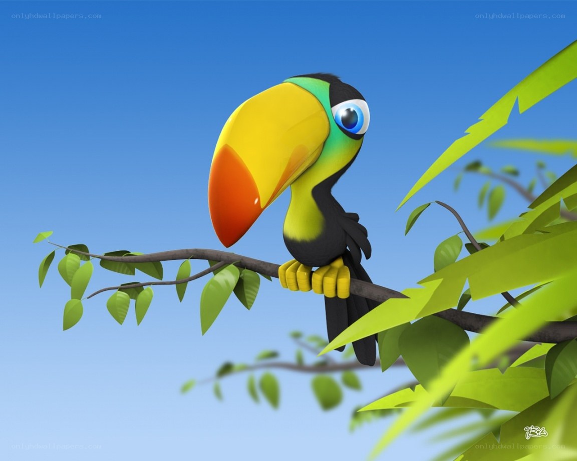 toucan on a tree branch