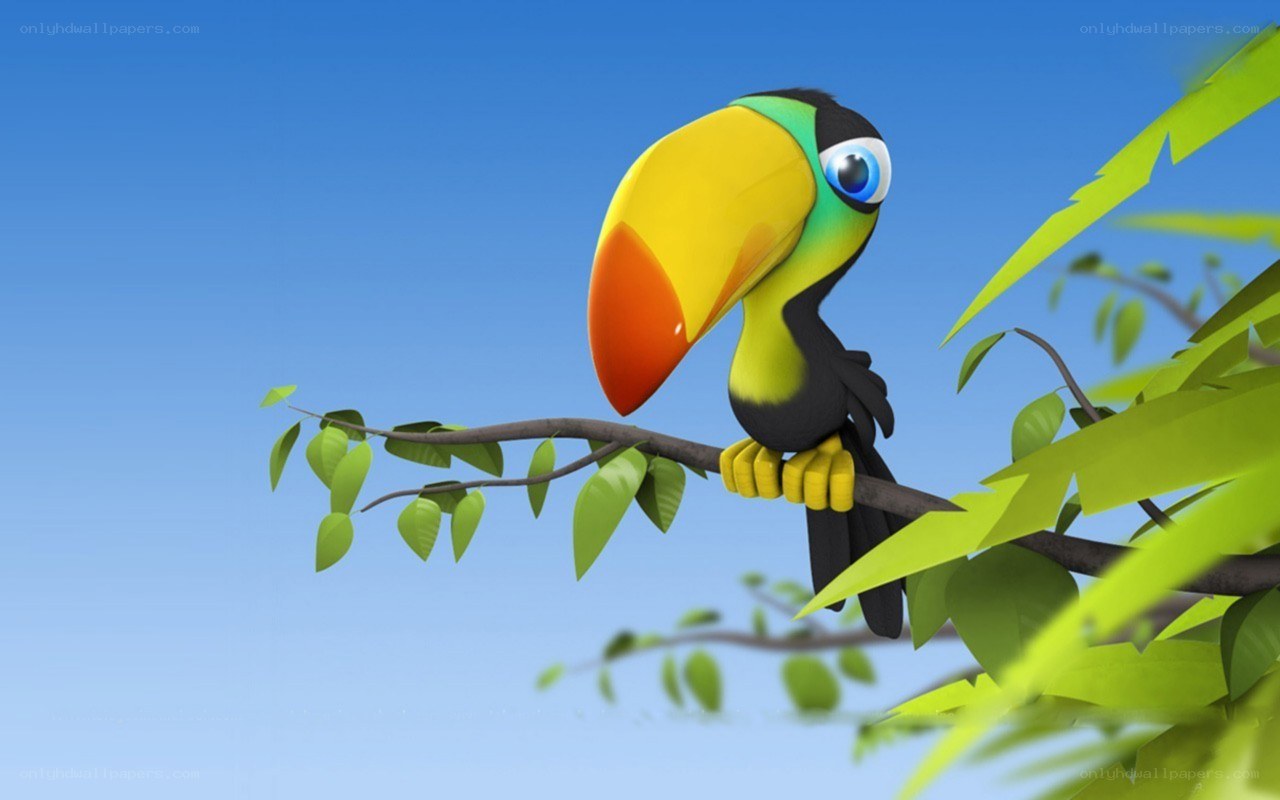 toucan on a tree branch
