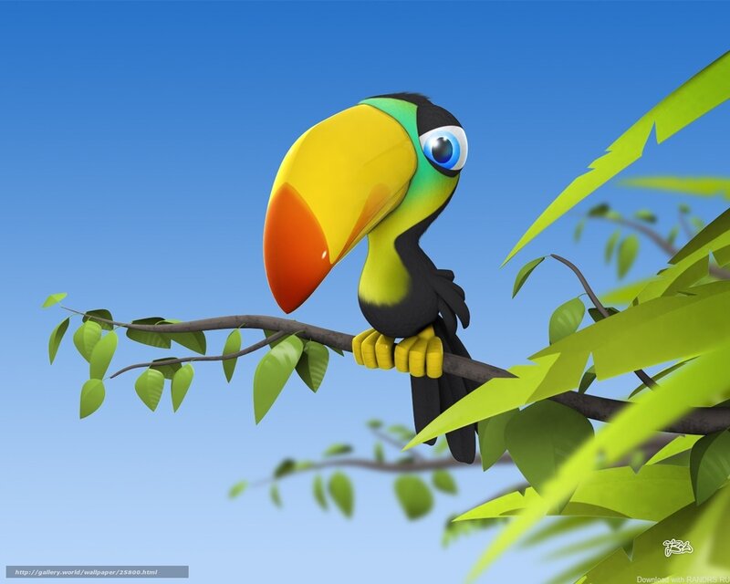 toucan on a tree branch