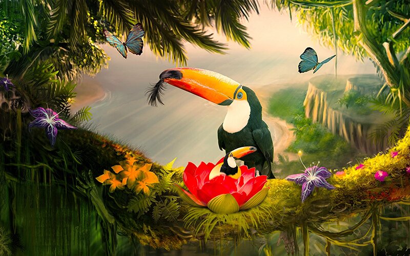 Toucan on Flower