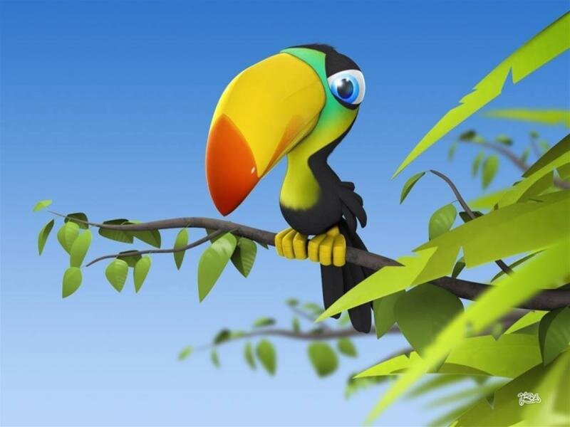 Toucan on Tree Branch — Blue, Calm