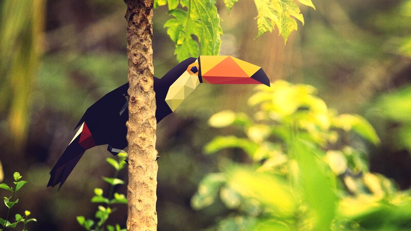 Toucan on Tree Trunk — Green