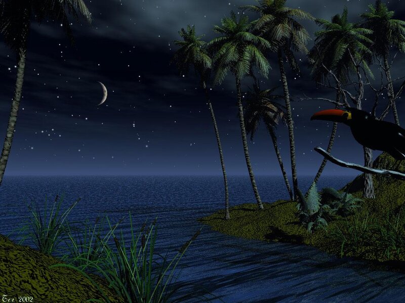 Toucan on Tropical Island