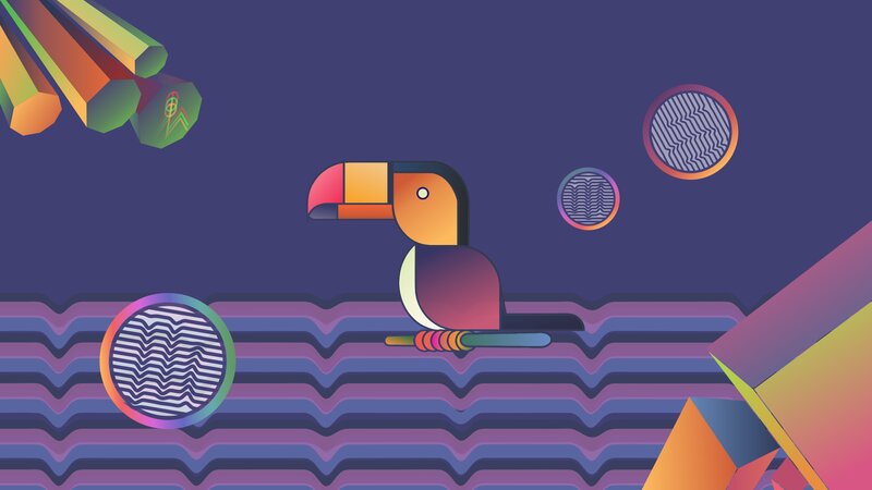 Toucan on Wavy Lines