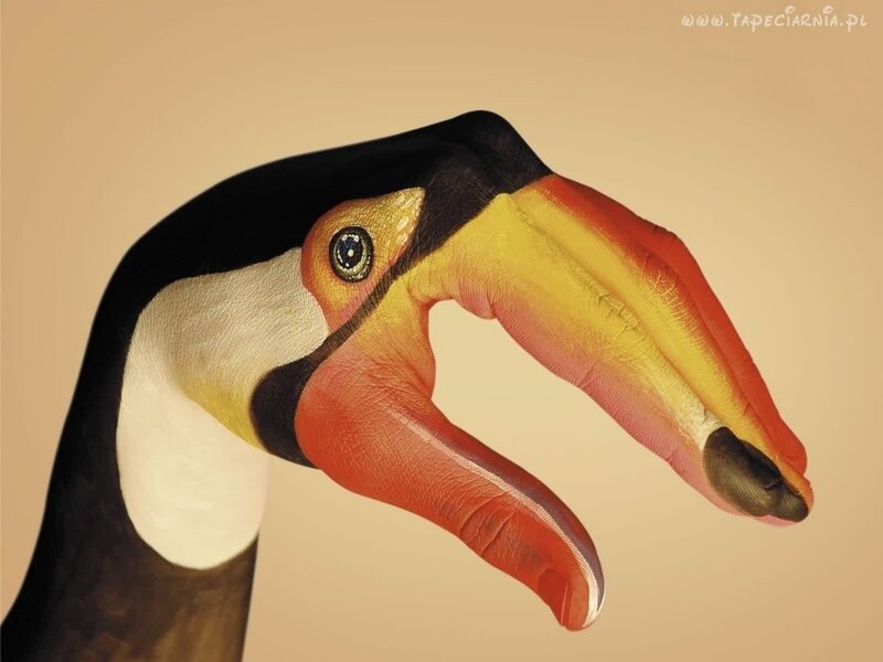 Toucan Painted on Hand — Black