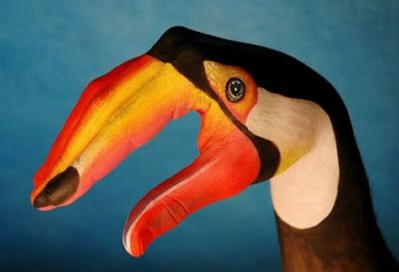 Toucan Painted on Hand — Blue