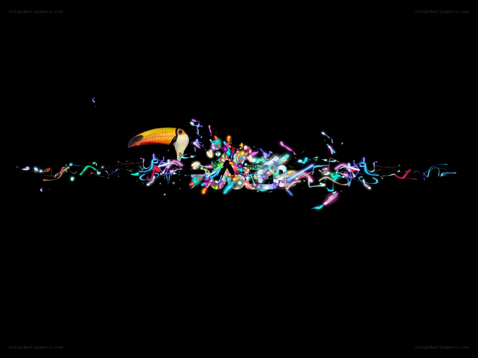 Toucan with colorful light trails