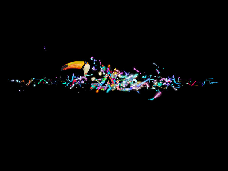 Toucan with Light Trails