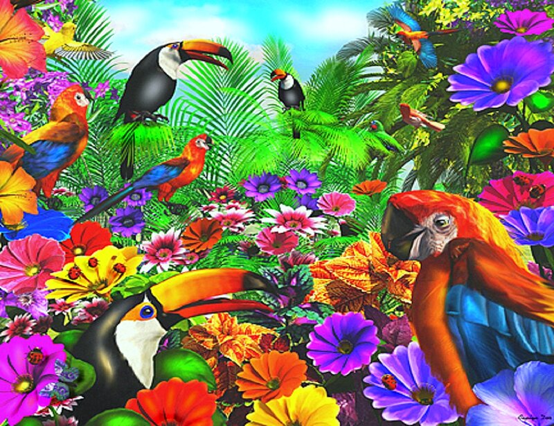 Toucans and Parrots in Jungle