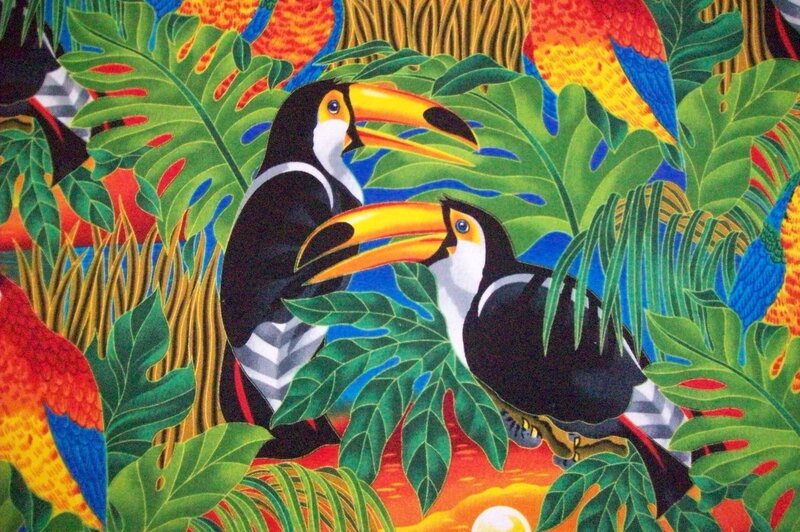 Toucans in Jungle