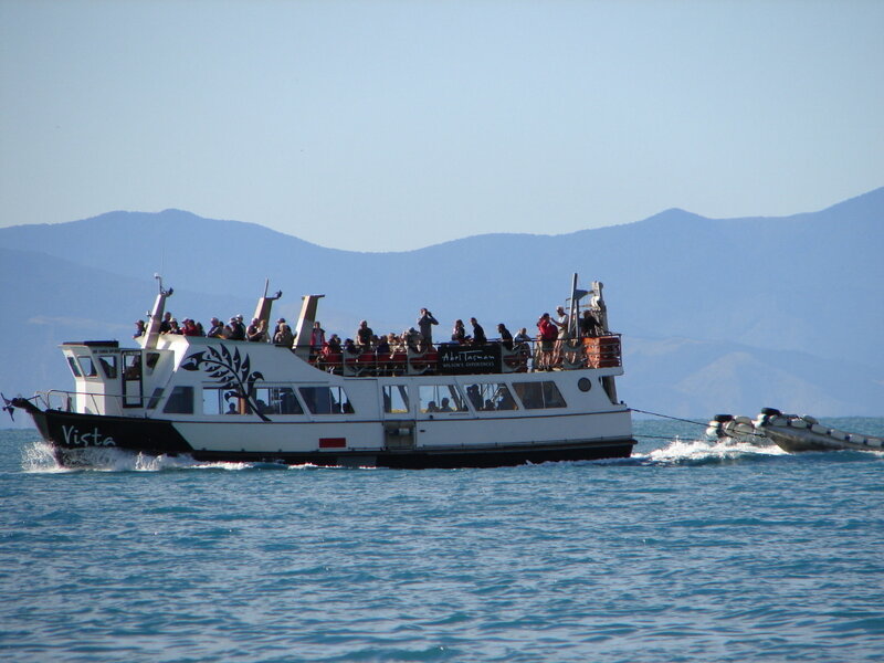 Tour boat on the water