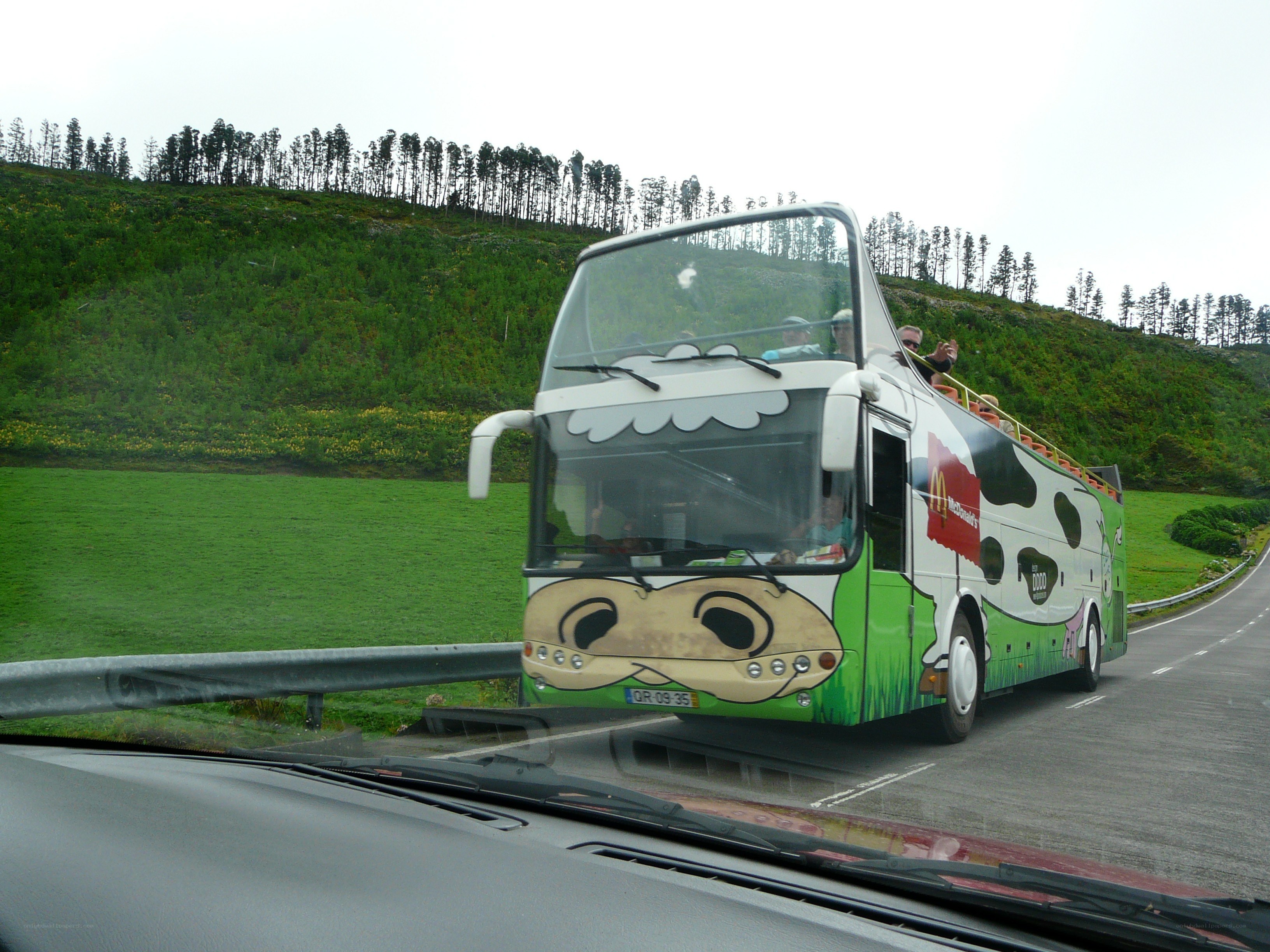 tour bus with cow design